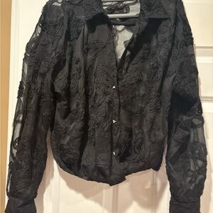 Zara Elegant Black Sheer Top